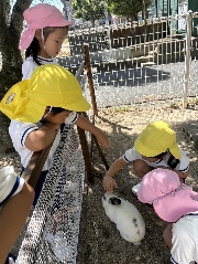 入園願書受付開始（１０月１日から）